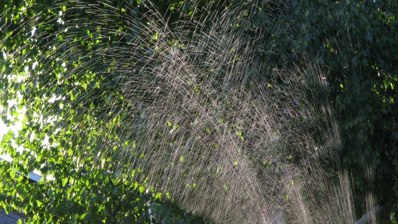 Garden sprinkler watering a lawn